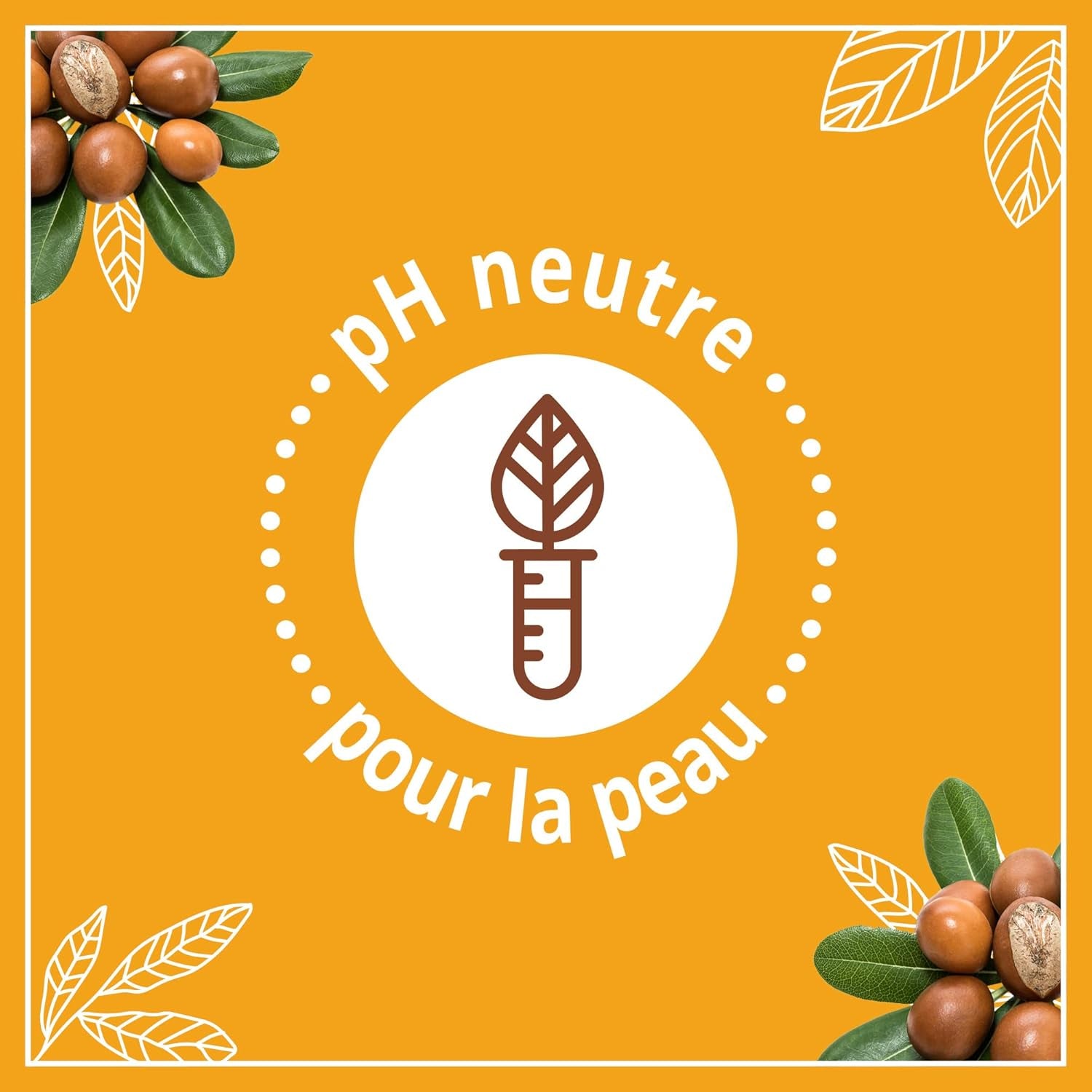 | Lait Soin Hydratant Nutrition Peaux Très Sèches (Flacon-Pompe De 250 Ml) – Lait Corps Au Beurre De Karité, Amande Douce Et Huile D'Argan – 24 H De Confort Cutané