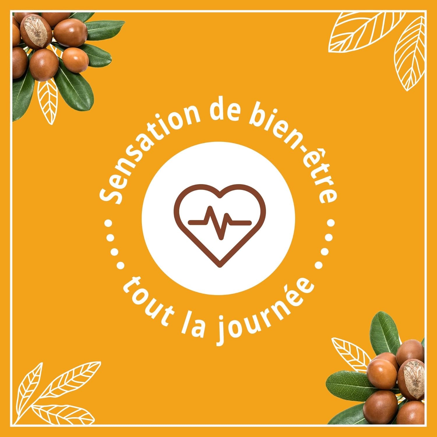 | Lait Soin Hydratant Nutrition Peaux Très Sèches (Flacon-Pompe De 250 Ml) – Lait Corps Au Beurre De Karité, Amande Douce Et Huile D'Argan – 24 H De Confort Cutané