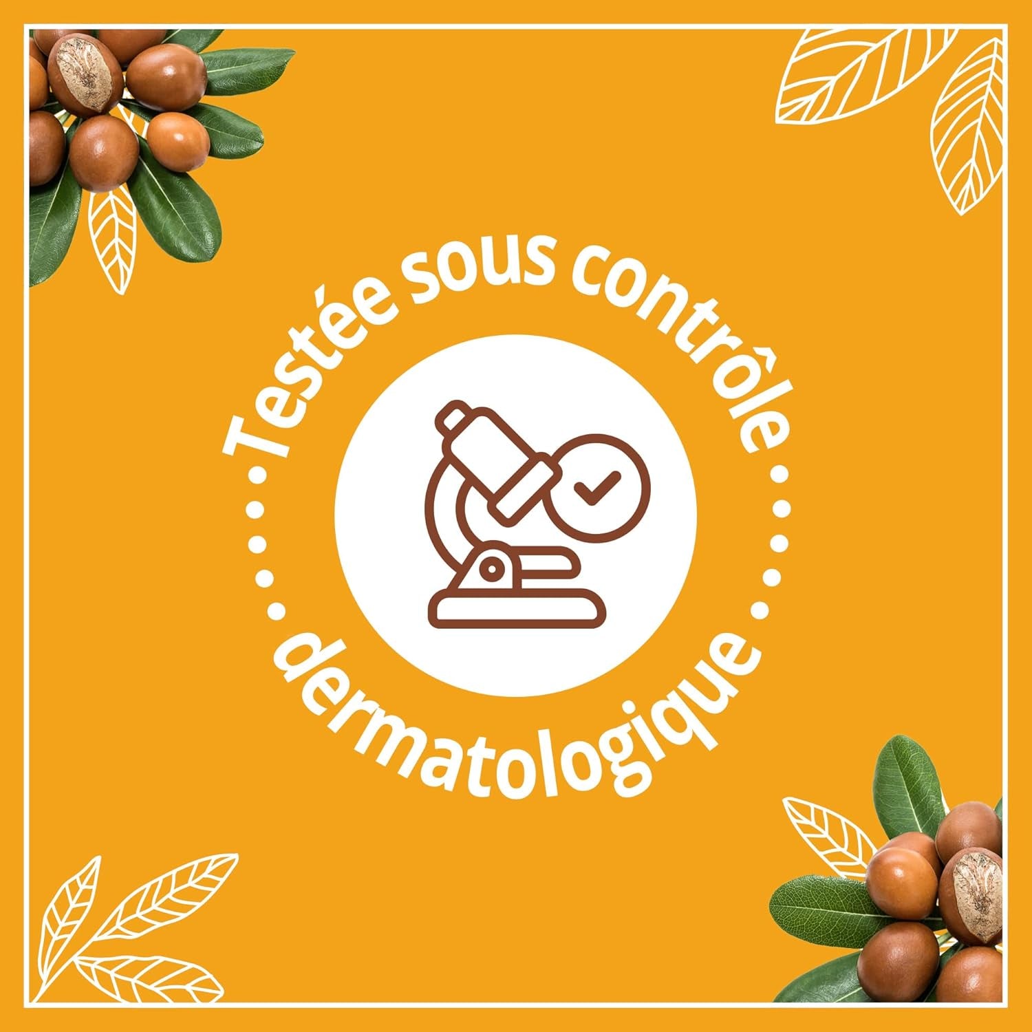 | Lait Soin Hydratant Nutrition Peaux Très Sèches (Flacon-Pompe De 250 Ml) – Lait Corps Au Beurre De Karité, Amande Douce Et Huile D'Argan – 24 H De Confort Cutané
